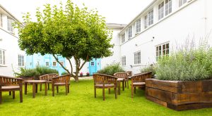 The Courtyard garden at Orford House. There is brown garden furniture and a large tree
